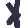 FALKE CHAUSSETTES IHASA MARINE.jpg