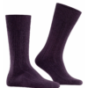FALKE CHAUSSETTES IHASA PRUNE FALKE CHAUSSETTES IHASA PRUNE